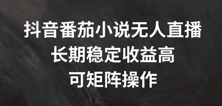 抖音番茄小说无人直播，长期稳定收益高，可矩阵操作【揭秘】-简创项目网