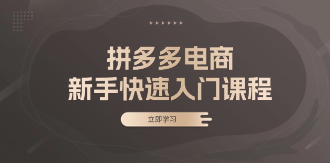 拼多多电商新手快速入门课程：涵盖基础、实战与选款，助力小白轻松上手-简创项目网