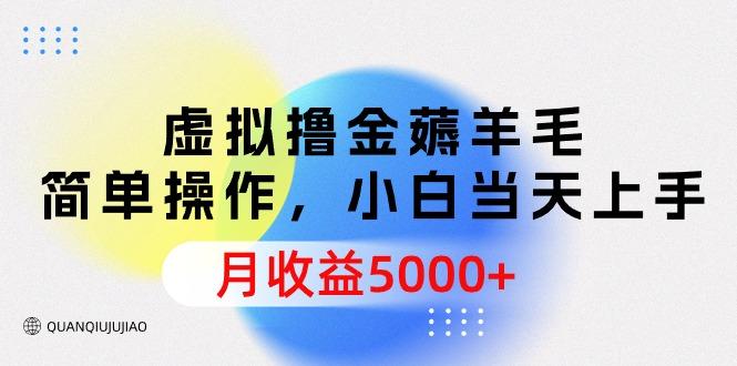 (9864期)虚拟撸金薅羊毛，简单操作，小白当天上手，月收益5000+-简创项目网