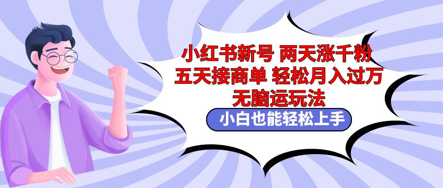 小红书新号两天涨千粉五天接商单轻松月入过万 无脑搬运玩法 小白也能轻…-简创项目网