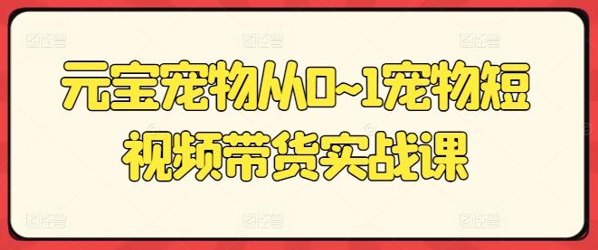 元宝宠物从0~1宠物短视频带货实战课-简创项目网