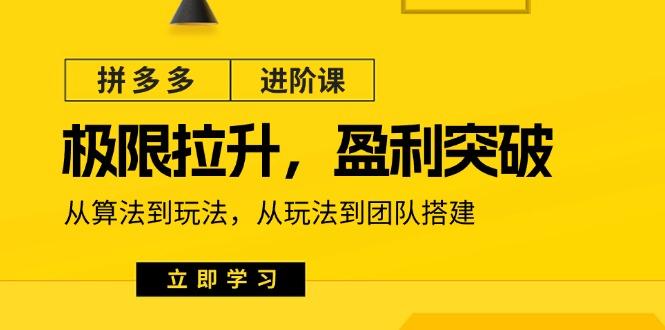 拼多多·进阶课：极限拉升/盈利突破：从算法到玩法 从玩法到团队搭建-18节-简创项目网