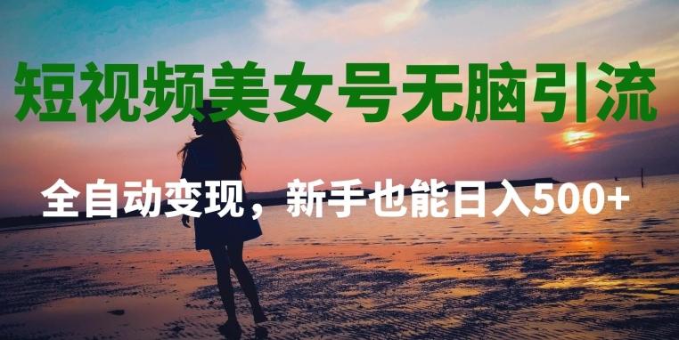 短视频美女号无脑引流，全自动变现，新手也能日入500+-简创项目网