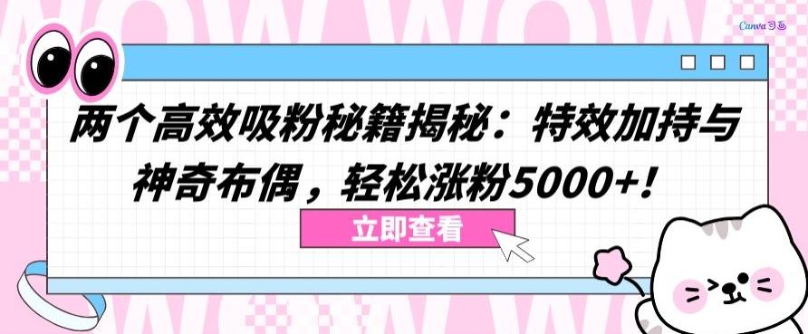 两个高效吸粉秘籍揭秘：特效加持与神奇布偶，轻松涨粉5000+【揭秘】-简创项目网