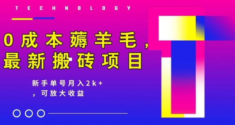0成本薅羊毛，最新搬砖项目，新手单号月入2k+，可放大操作-简创项目网