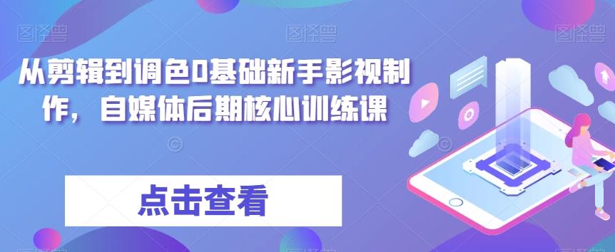 从剪辑到调色0基础新手影视制作，自媒体后期核心训练课-简创项目网