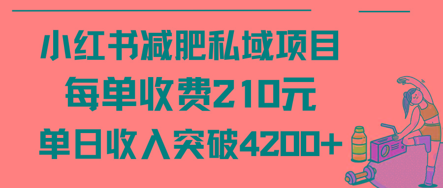 (9466期)小红书减肥私域项目每单收费210元单日成交20单，最高日入4200+-简创项目网