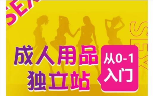 成人用品独立站从0-1入门，成品独立站运营全流程教学，七大好卖成品独立站推荐-简创项目网