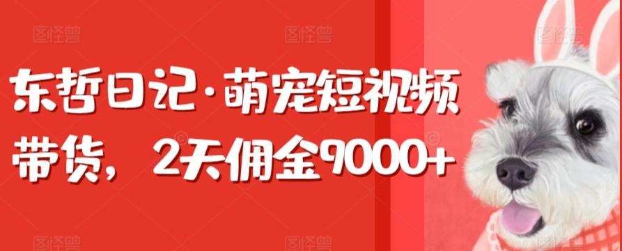 东哲日记·萌宠短视频带货，2天佣金9000+-简创项目网