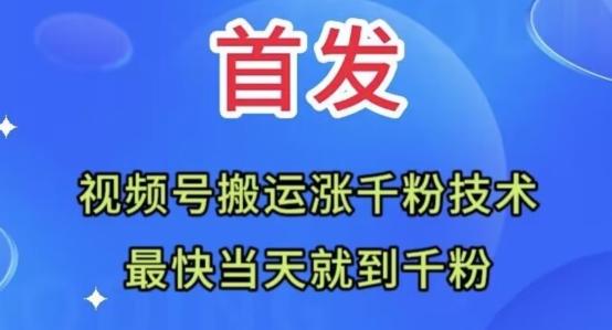 全网首发：视频号无脑搬运涨千粉技术，最快当天到千粉【揭秘】-简创项目网