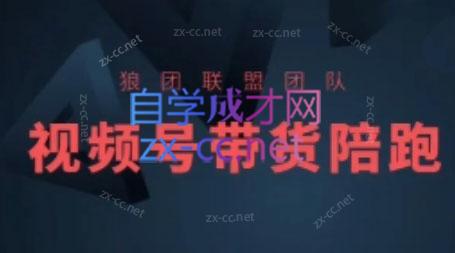 狼团联盟·2024视频号带货-简创项目网