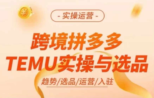跨境拼多多TEMU实操与选品，多多temu跨境选品运营实操-简创项目网