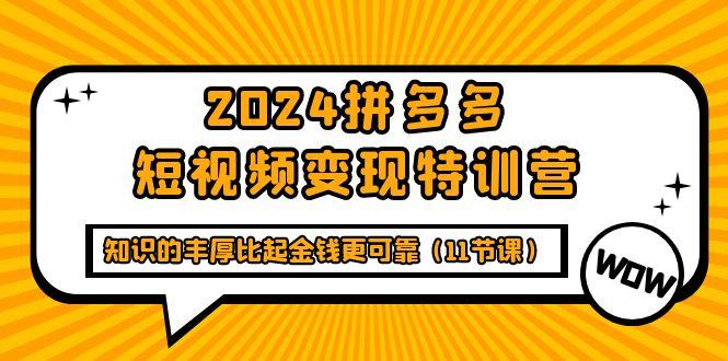 (9817期)2024拼多多短视频变现特训营，知识的丰厚比起金钱更可靠(11节课)-简创项目网