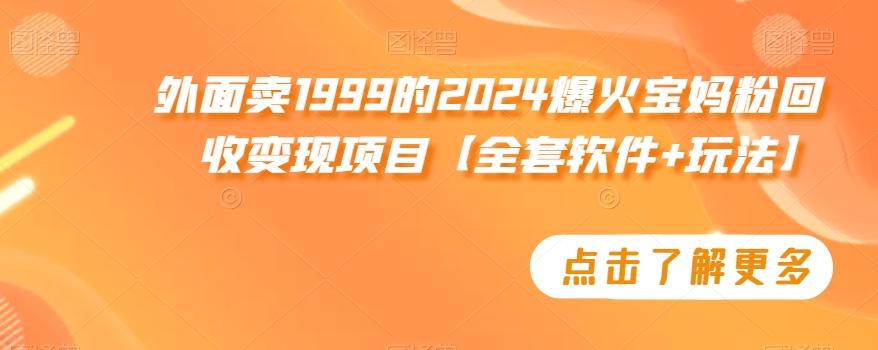 外面卖1999的2024爆火宝妈粉回收变现项目【全套软件+玩法】【揭秘】-简创项目网