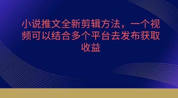 小说推文全新剪辑方法，一个视频可以结合多个平台去发布获取【揭秘】-简创项目网