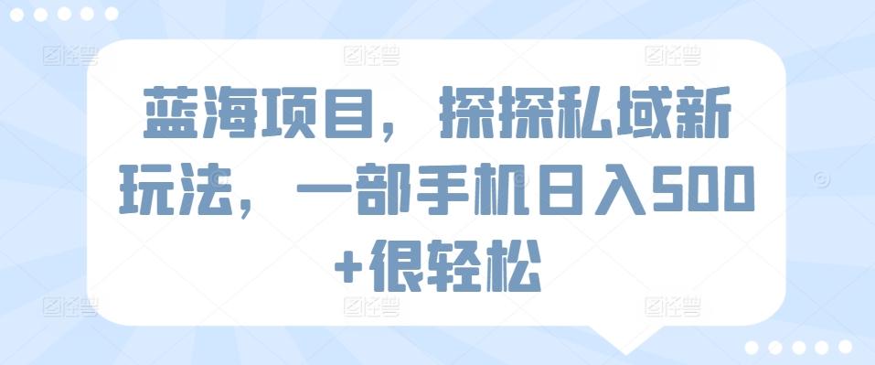 蓝海项目，探探私域新玩法，一部手机日入500+很轻松【揭秘】-简创项目网