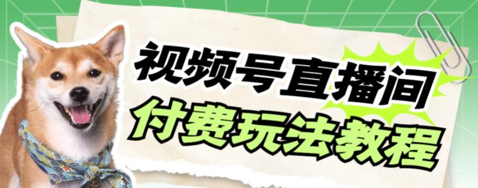 视频号美女付费无人直播，轻松日入500+【详细玩法教程】-简创项目网