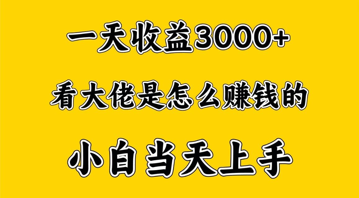 一天赚3000多，大佬是这样赚到钱的，小白当天上手，穷人翻身项目-简创项目网