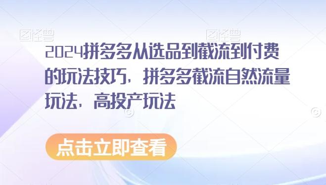 2024拼多多从选品到截流到付费的玩法技巧，拼多多截流自然流量玩法，高投产玩法-简创项目网