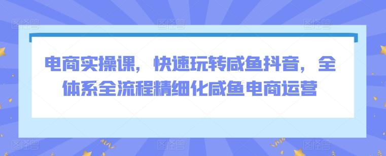 电商实操课，快速玩转咸鱼抖音，全体系全流程精细化咸鱼电商运营-简创项目网