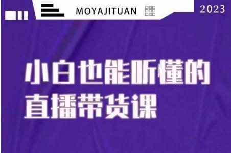 大威本威·能听懂的直播带货课，小白也能听懂，20节完整-简创项目网