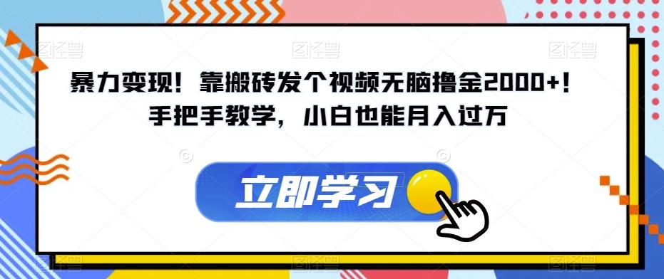 暴力变现！靠搬砖发个视频无脑撸金2000+！手把手教学，小白也能月入过万【揭秘】-简创项目网