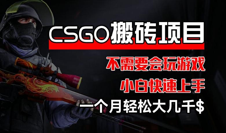 CSGO 装备搬砖项目，操作简单，不需要会玩游戏，小白也能快速上手，一个月轻松大几千【揭秘】-简创项目网