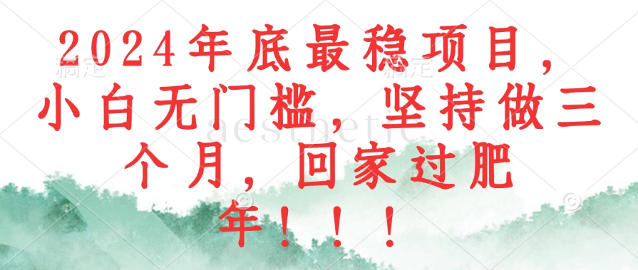 2024年底最稳项目，小白无门槛，坚持做三个月，回家过肥年！！！-简创项目网