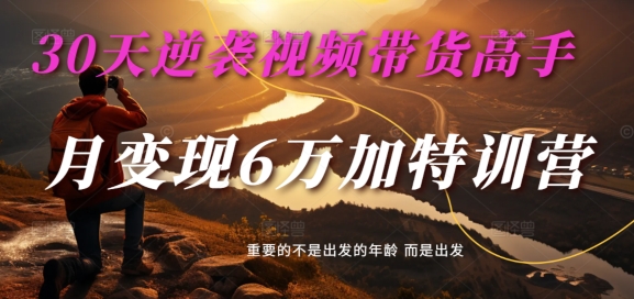 30天逆袭视频带货高手，单月变现6万加特训营-麦子甜-简创项目网