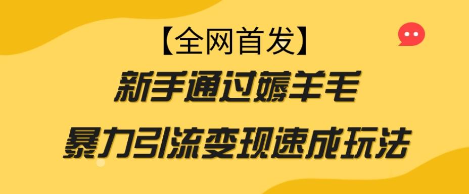 【全网首发】新手通过薅羊毛暴力引流变现速成玩法-简创项目网