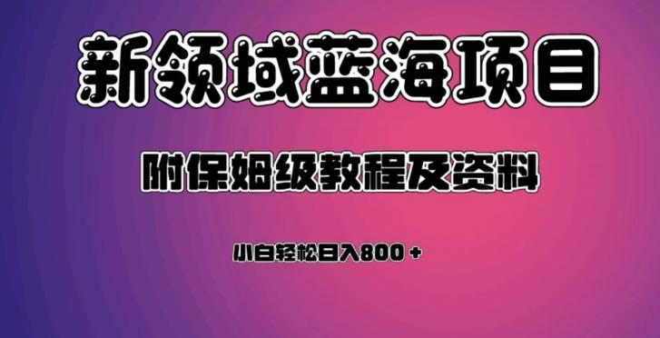 虚拟资源蓝海领域新项目，轻松日入800＋，附保姆级教程及资料-简创项目网