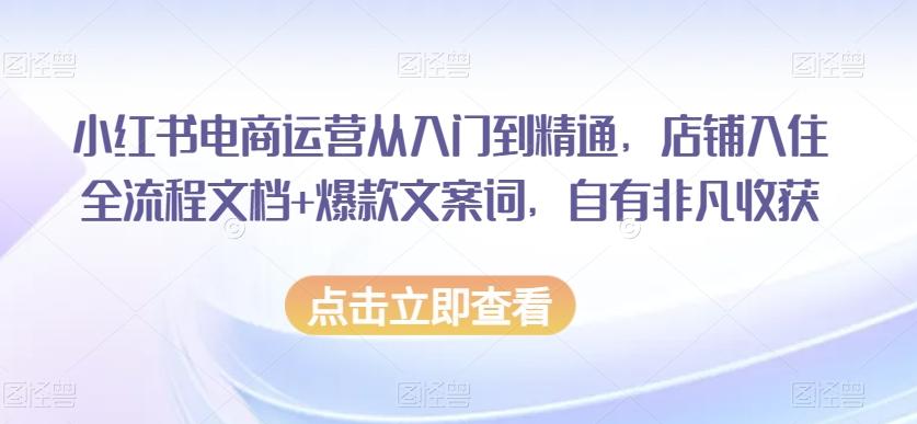 小红书电商运营从入门到精通，店铺入住全流程文档+爆款文案词，自有非凡收获-简创项目网