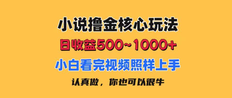 小说撸金核心玩法，日收益500-1000+，小白看完照样上手，0成本有手就行-简创项目网