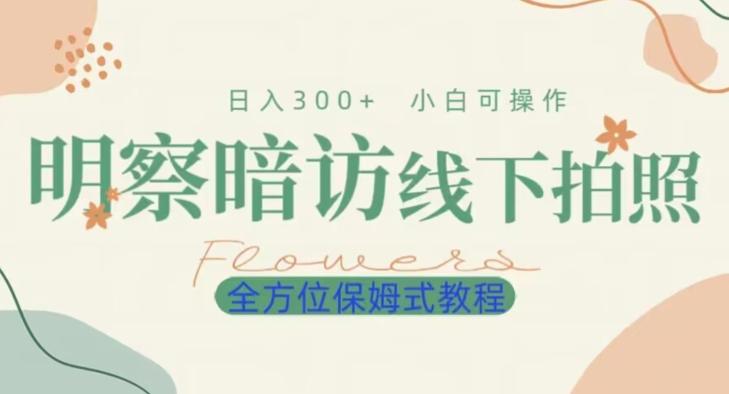 明拍暗拍项目0成本投入日入300+小白可操作保姆式全方位教程-简创项目网