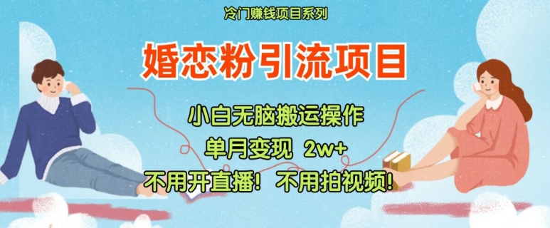 小红书婚恋粉引流，不用开直播，不用拍视频，不用做交付【揭秘】-简创项目网