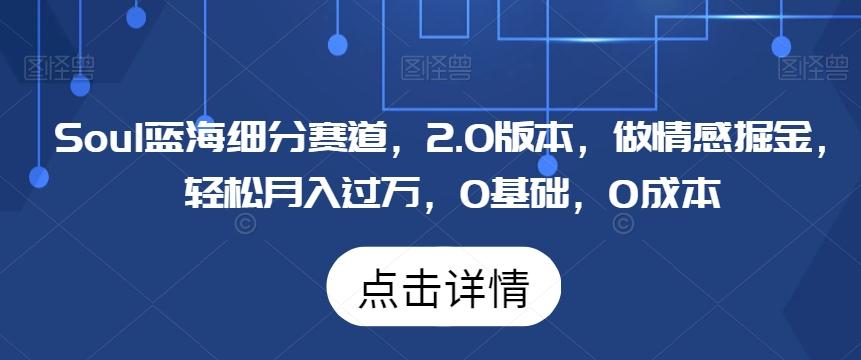 Soul蓝海细分赛道，2.0版本，做情感掘金，轻松月入过万，0基础，0成本-简创项目网