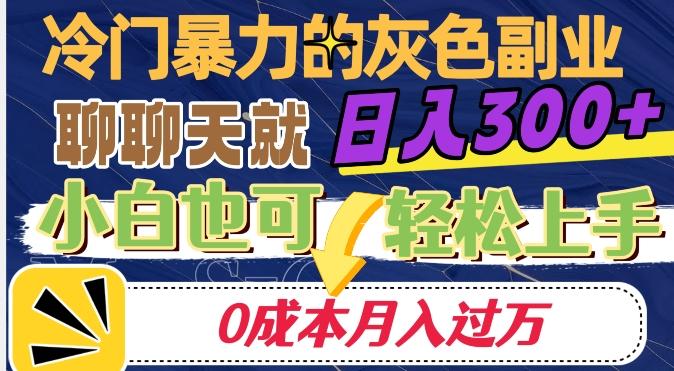 冷门暴利的副业项目，聊聊天就能日入300+，0成本月入过万【揭秘】-简创项目网