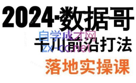 数据哥·2024年千川前沿打法落地实操课-简创项目网