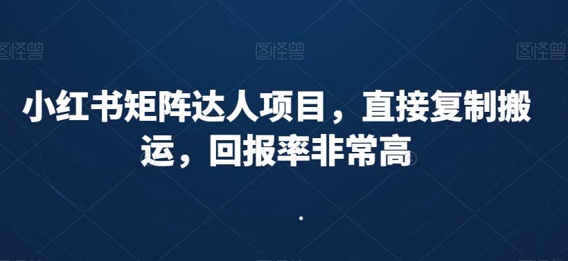 小红书矩阵达人项目，直接复制搬运，回报率非常高-简创项目网