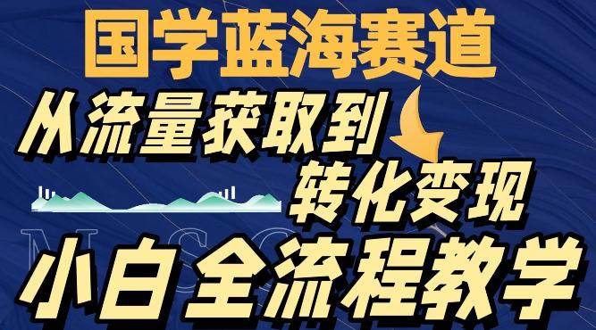 国学蓝海赛道，从流量获取，到转化变现，全流程教学-简创项目网