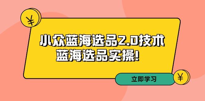 拼多多培训第33期：小众蓝海选品2.0技术-蓝海选品实操！-简创项目网