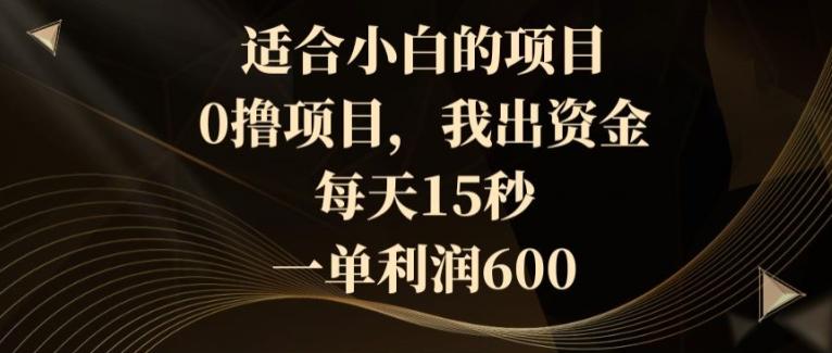 适合小白的项目，0撸项目，我出资金，每天15秒，一单利润600-简创项目网