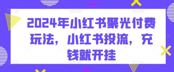 2024年小红书聚光付费玩法，小红书投流，充钱就开挂-简创项目网