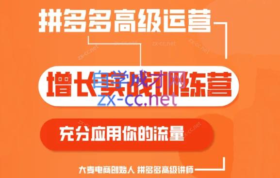 大麦老师·拼多多单品爆款打造课程(更新6月)-简创项目网