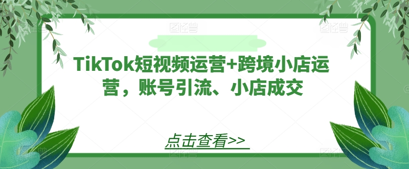 TikTok短视频运营+跨境小店运营，账号引流、小店成交-简创项目网