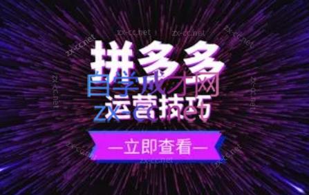 力辛电商·拼多多强付费店群玩法-简创项目网