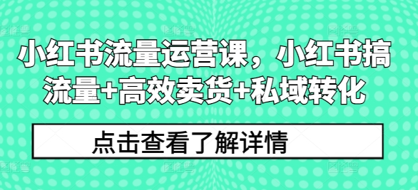 小红书流量运营课，小红书搞流量+高效卖货+私域转化-简创项目网