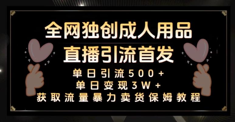 全网独创真人主播+无人直播单日引流500+，橙人用品暴力卖货单日变现3W+保姆似教学2.0【揭秘】-简创项目网