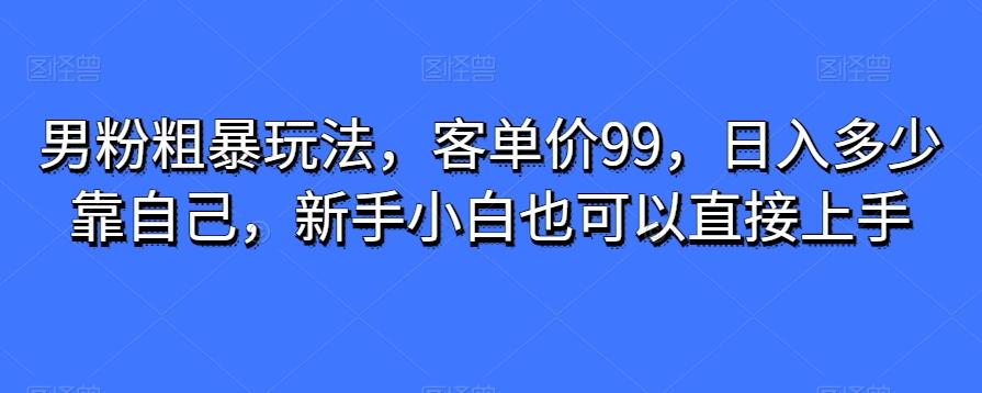 男粉粗暴玩法，客单价99，日入多少靠自己，新手小白也可以直接上手-简创项目网
