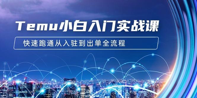 (9295期)Temu小白入门实战课：跨境拼多多电商培训 快速跑通从入驻到出单全流程-12节-简创项目网